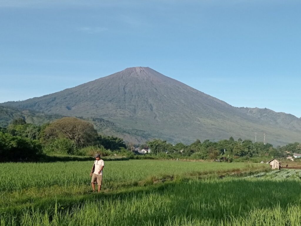 Sembalun Panorama Walking Tour