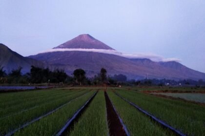 Mount Rinjani